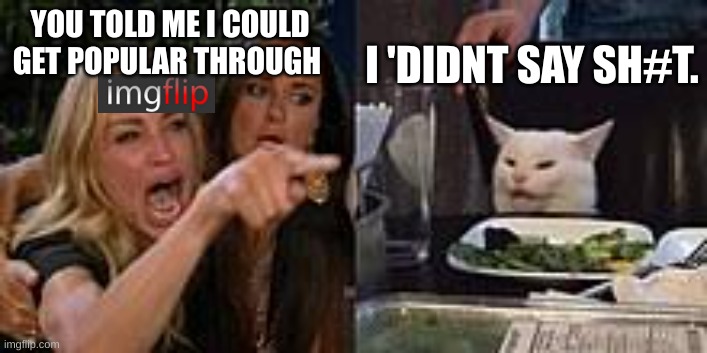 she thought she could get popular | I 'DIDNT SAY SH#T. YOU TOLD ME I COULD GET POPULAR THROUGH | image tagged in funny,meme,cats v karens | made w/ Imgflip meme maker