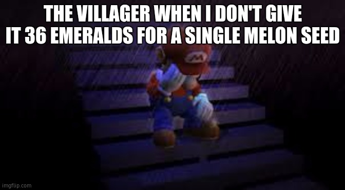 Sad mario | THE VILLAGER WHEN I DON'T GIVE IT 36 EMERALDS FOR A SINGLE MELON SEED | image tagged in sad mario | made w/ Imgflip meme maker