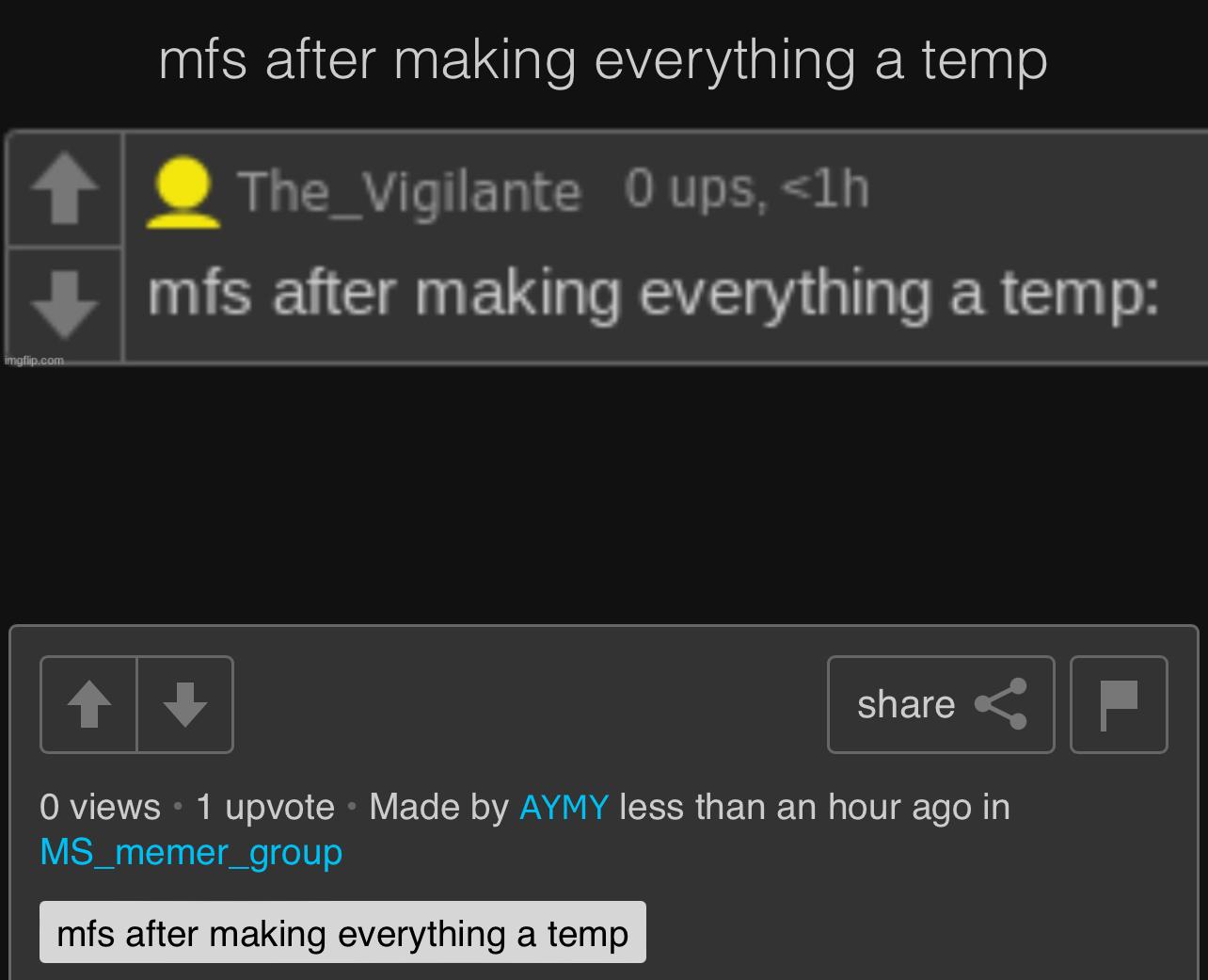 mfs after making everything a temp Blank Meme Template