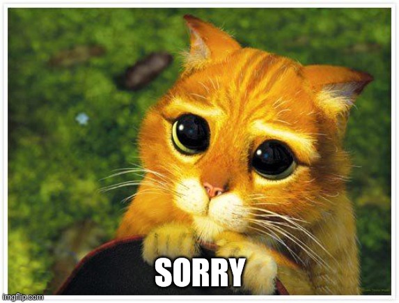 Sorry Kitty | SORRY | image tagged in sorry kitty | made w/ Imgflip meme maker