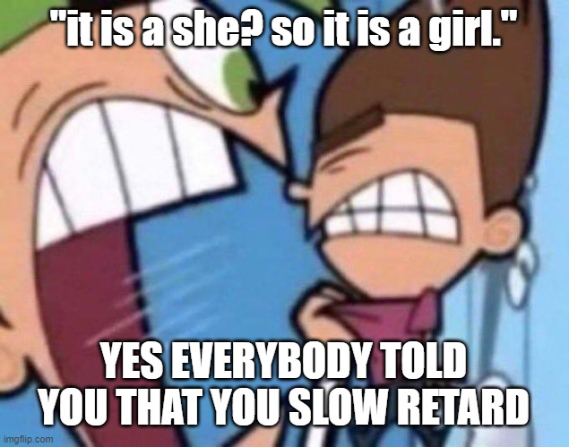 Cosmo yelling at timmy | "it is a she? so it is a girl." YES EVERYBODY TOLD YOU THAT YOU SLOW RETARD | image tagged in cosmo yelling at timmy | made w/ Imgflip meme maker