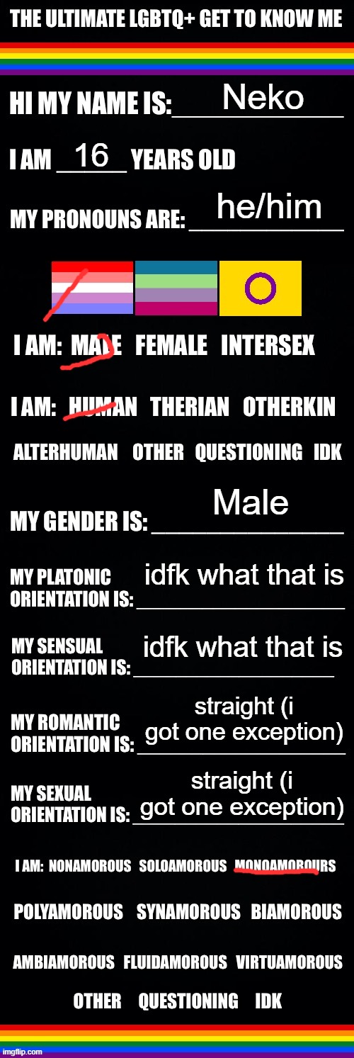 The ultimate LGBTQ+ get to know me | Neko; 16; he/him; Male; idfk what that is; idfk what that is; straight (i got one exception); straight (i got one exception) | image tagged in the ultimate lgbtq get to know me | made w/ Imgflip meme maker