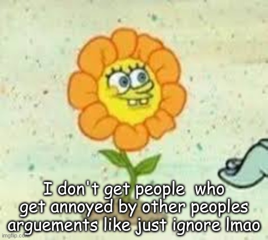 flowey | I don't get people  who get annoyed by other peoples arguements like just ignore lmao | image tagged in flowey | made w/ Imgflip meme maker