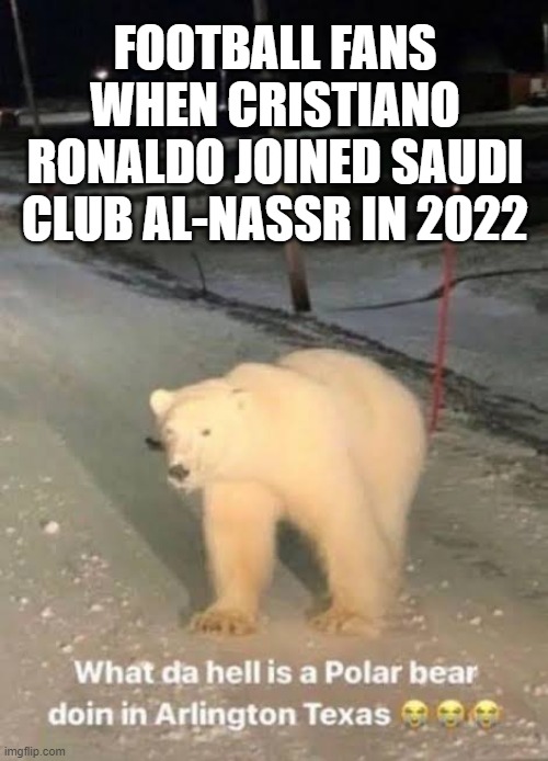 When CR7 went to Saudi in 2022 | FOOTBALL FANS WHEN CRISTIANO RONALDO JOINED SAUDI CLUB AL-NASSR IN 2022 | image tagged in what the hell a polar bear doing in arlington texas | made w/ Imgflip meme maker