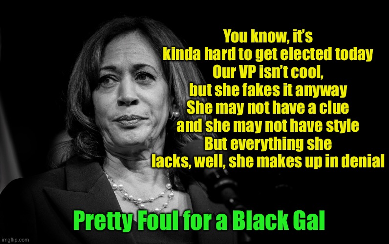 Apologies to The Offspring.  The first verse to “Pretty Fly for a White Guy” just seems to fit | You know, it’s kinda hard to get elected today
Our VP isn’t cool, but she fakes it anyway
She may not have a clue and she may not have style
But everything she lacks, well, she makes up in denial; Pretty Foul for a Black Gal | image tagged in kamala harris,fake | made w/ Imgflip meme maker