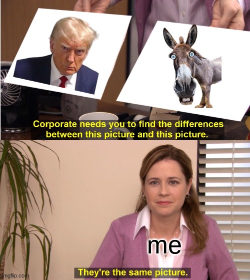 he is | me | image tagged in memes,they're the same picture | made w/ Imgflip meme maker