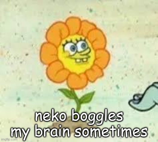 flowey | neko boggles my brain sometimes | image tagged in flowey | made w/ Imgflip meme maker