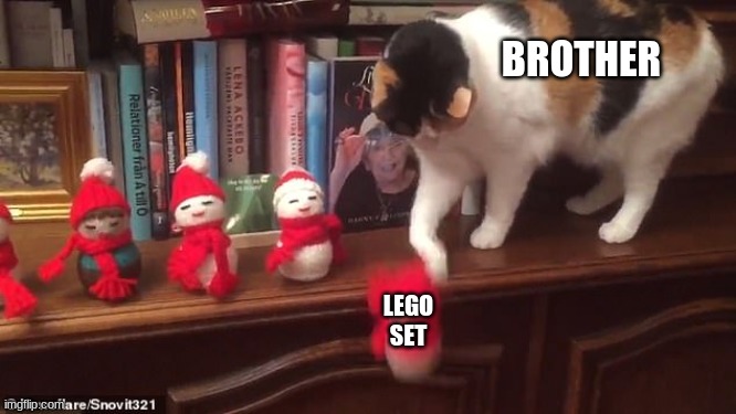 Cat knocking stuff off | BROTHER LEGO SET | image tagged in cat knocking stuff off | made w/ Imgflip meme maker