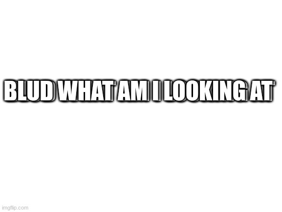 Blank White Template | BLUD WHAT AM I LOOKING AT BLUD WHAT AM I LOOKING AT | image tagged in blank white template | made w/ Imgflip meme maker
