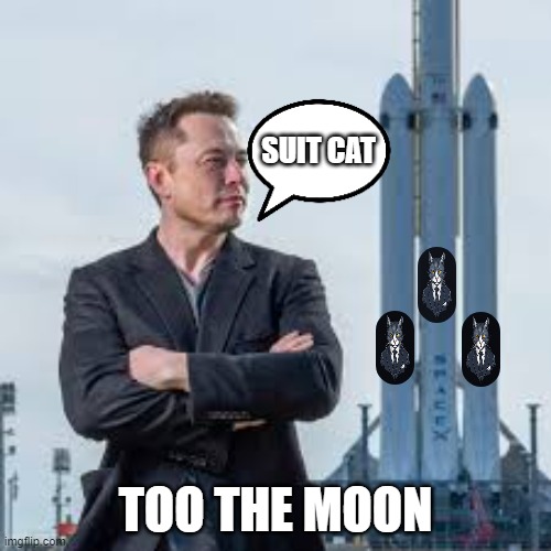 Elon Musk Rocket | SUIT CAT; TOO THE MOON | image tagged in elon musk rocket | made w/ Imgflip meme maker