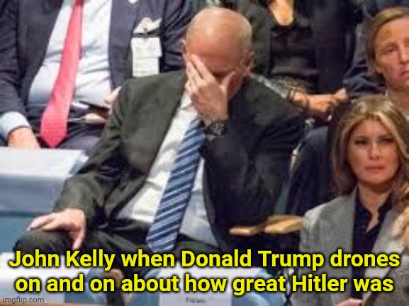 Fascists gotta fasc | John Kelly when Donald Trump drones on and on about how great Hitler was | image tagged in john kelly | made w/ Imgflip meme maker