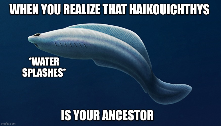 Lil fellow | WHEN YOU REALIZE THAT HAIKOUICHTHYS; *WATER SPLASHES*; IS YOUR ANCESTOR | image tagged in memes,paleomemes,haikouichthys | made w/ Imgflip meme maker