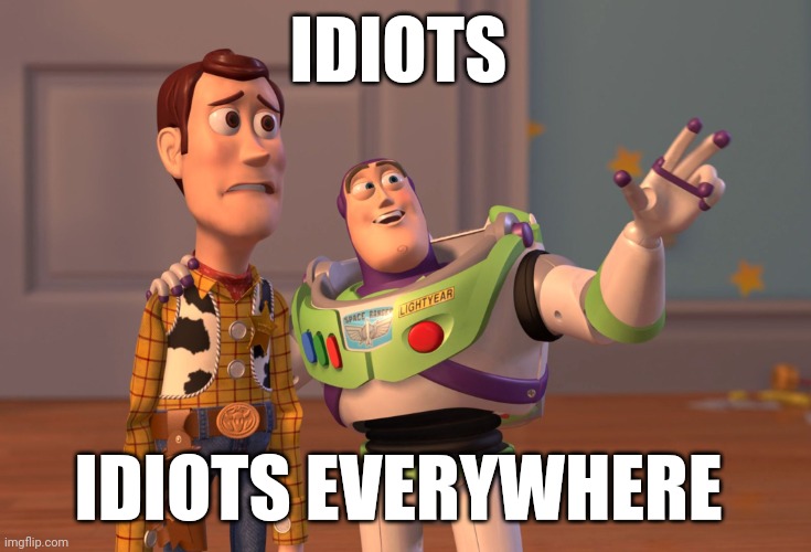 Idiots | IDIOTS; IDIOTS EVERYWHERE | image tagged in memes,x x everywhere,funny memes | made w/ Imgflip meme maker