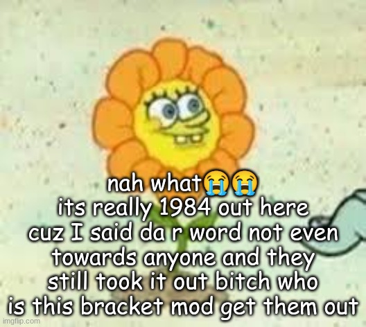 flowey | nah what😭😭
its really 1984 out here
cuz I said da r word not even towards anyone and they still took it out bitch who is this bracket mod get them out | image tagged in flowey | made w/ Imgflip meme maker