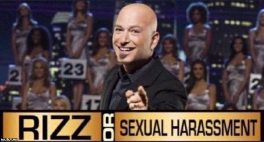 rizz or sexual harassment | image tagged in rizz or sexual harassment | made w/ Imgflip meme maker