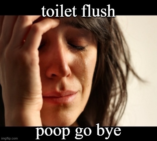 born to shit, forced to wipe | toilet flush; poop go bye | image tagged in distress | made w/ Imgflip meme maker