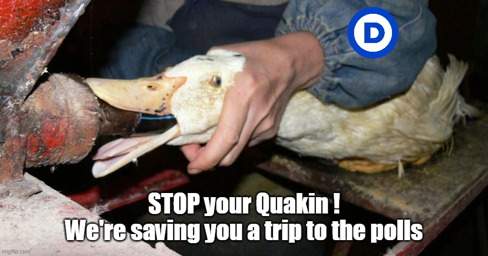 STOP your Quakin !
We're saving you a trip to the polls | made w/ Imgflip meme maker