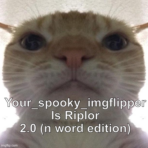 I mean, give it some time | Your_spooky_imgflipper Is Riplor 2.0 (n word edition) | image tagged in staring cat/gusic | made w/ Imgflip meme maker