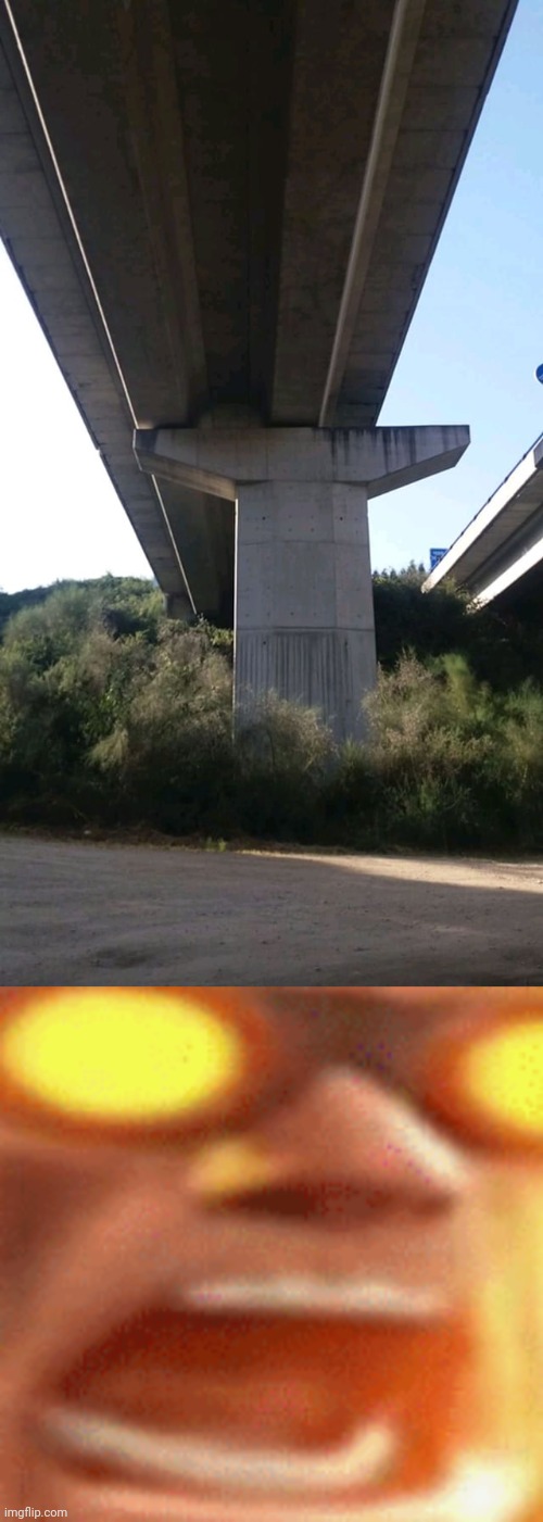 Bridge | image tagged in there are no words on gods green earth,bridges,bridge,you had one job,memes,construction | made w/ Imgflip meme maker