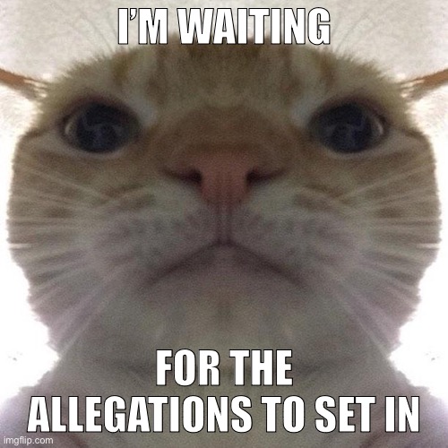 Staring Cat/Gusic | I’M WAITING; FOR THE ALLEGATIONS TO SET IN | image tagged in staring cat/gusic | made w/ Imgflip meme maker