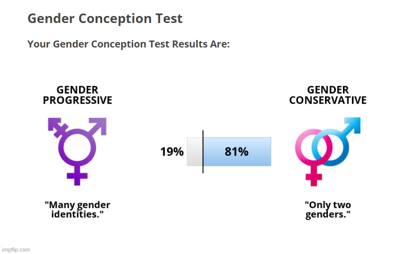 https://www.idrlabs.com/gender-conception/test.php | made w/ Imgflip meme maker
