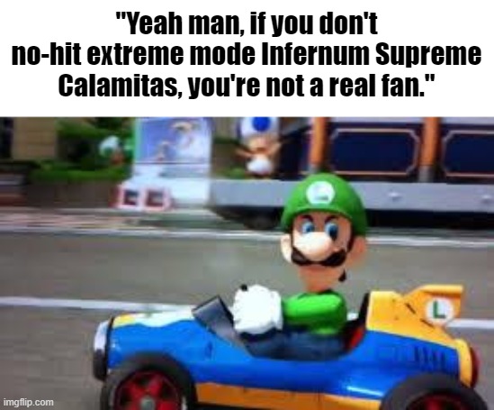 I don't know how people live like this | "Yeah man, if you don't no-hit extreme mode Infernum Supreme Calamitas, you're not a real fan." | image tagged in luigi death stare | made w/ Imgflip meme maker