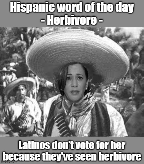 We Don't Need No Stinking Badges | Hispanic word of the day
- Herbivore -; Latinos don't vote for her because they've seen herbivore | image tagged in we don't need no stinking badges | made w/ Imgflip meme maker