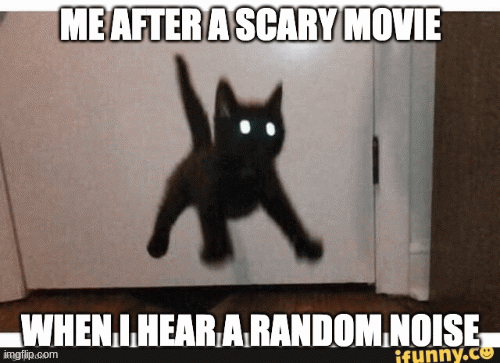 scary movie | image tagged in gifs,cats | made w/ Imgflip images-to-gif maker