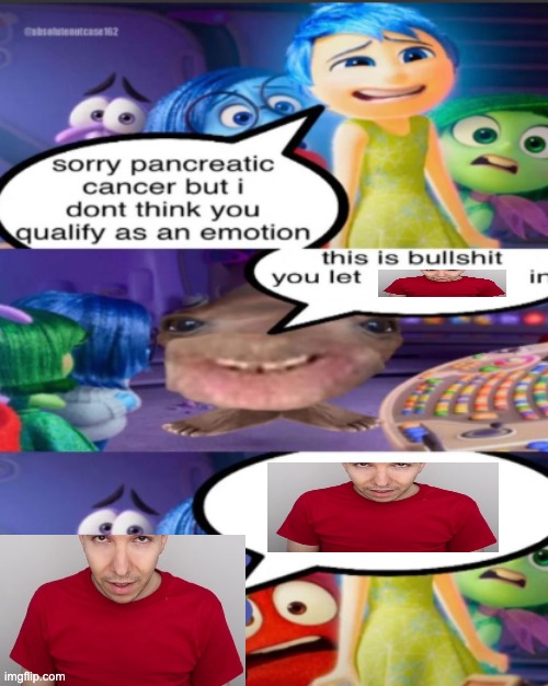 sorry pancreatic cancer but I don’t think you qualify as an emot | image tagged in sorry pancreatic cancer but i don t think you qualify as an emot | made w/ Imgflip meme maker
