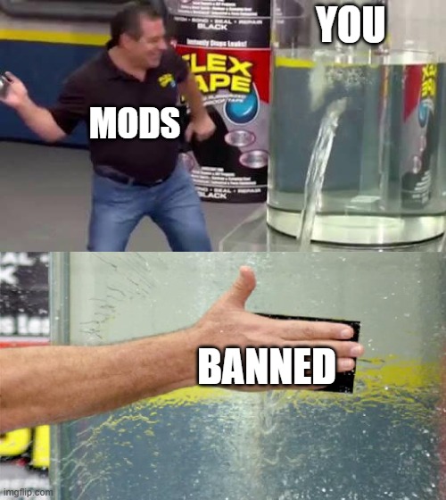 Flex Tape | YOU BANNED MODS | image tagged in flex tape | made w/ Imgflip meme maker