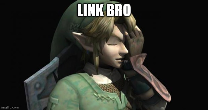 Link Facepalm | LINK BRO | image tagged in link facepalm | made w/ Imgflip meme maker