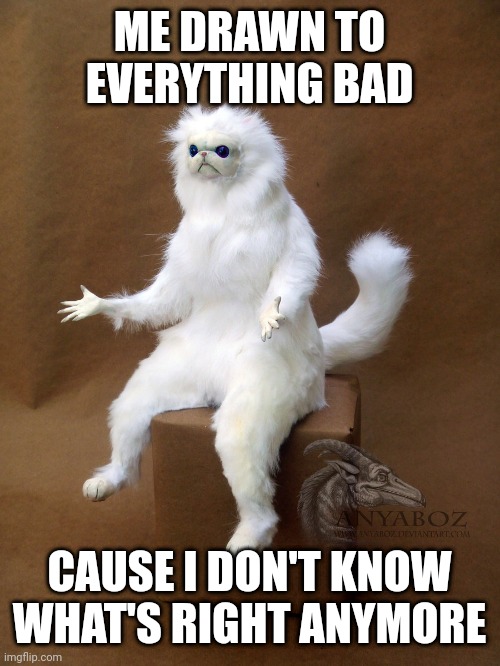 Persian Cat Room Guardian Single | ME DRAWN TO EVERYTHING BAD; CAUSE I DON'T KNOW WHAT'S RIGHT ANYMORE | image tagged in memes,persian cat room guardian single | made w/ Imgflip meme maker