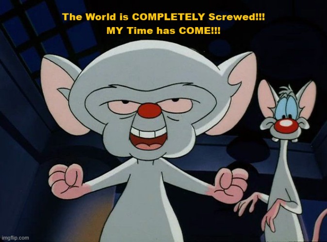 Brain's Time has Come | image tagged in pinky and the brain | made w/ Imgflip meme maker