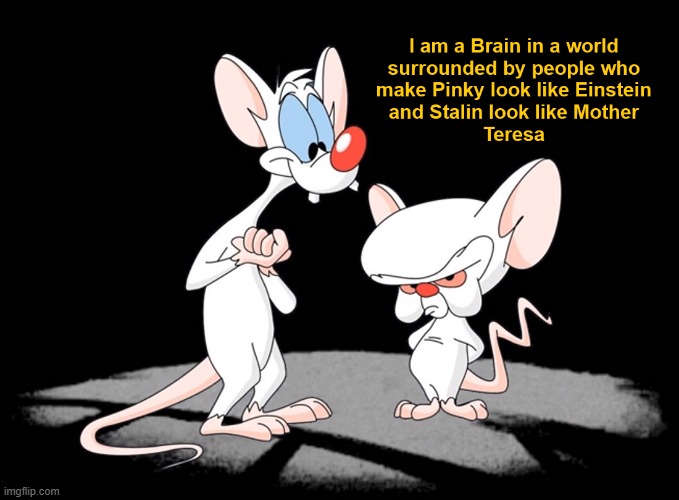 What a World, What a World | image tagged in pinky and the brain | made w/ Imgflip meme maker