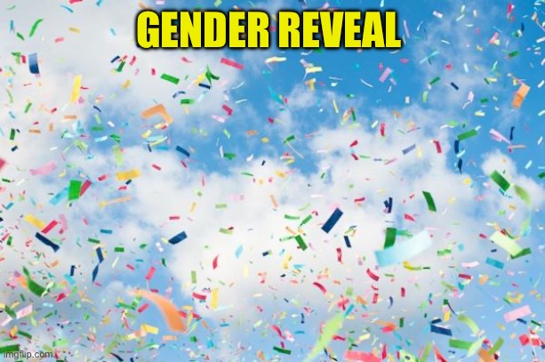 Confetti | GENDER REVEAL | image tagged in confetti | made w/ Imgflip meme maker