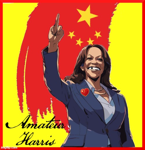 AMATEUR HARRIS | image tagged in kamala harris,biden,coup,liar,disloyal,amateur | made w/ Imgflip meme maker