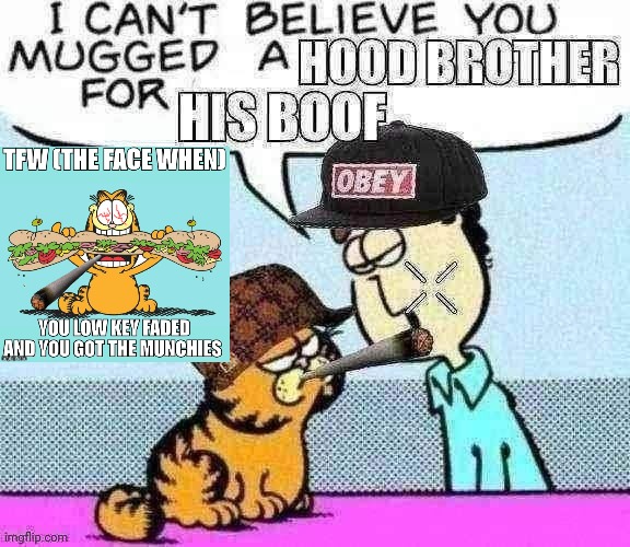 Mlg garfield | made w/ Imgflip meme maker