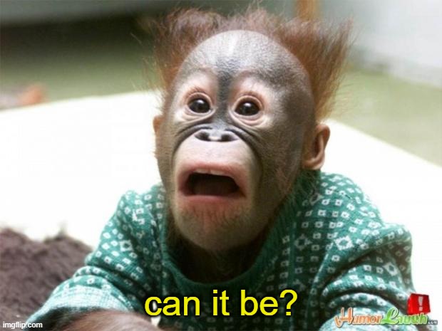 IS IT REALLY MONDAY? | can it be? | image tagged in is it really monday | made w/ Imgflip meme maker