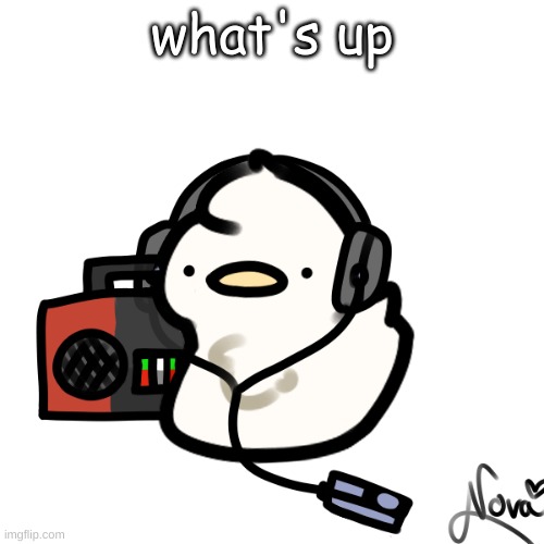 Ducky | what's up | image tagged in ducky | made w/ Imgflip meme maker