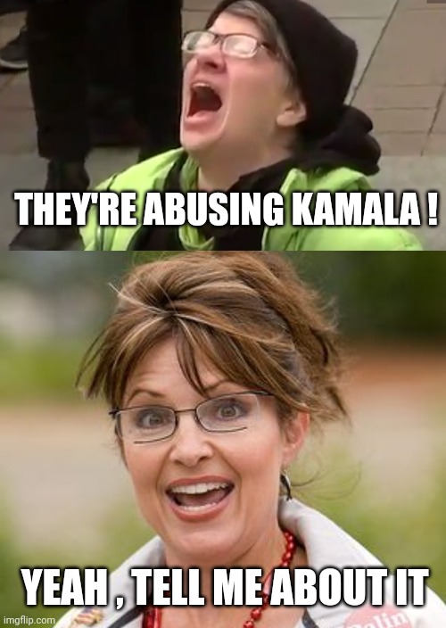 THEY'RE ABUSING KAMALA ! YEAH , TELL ME ABOUT IT | image tagged in screaming liberal,sarah palin | made w/ Imgflip meme maker