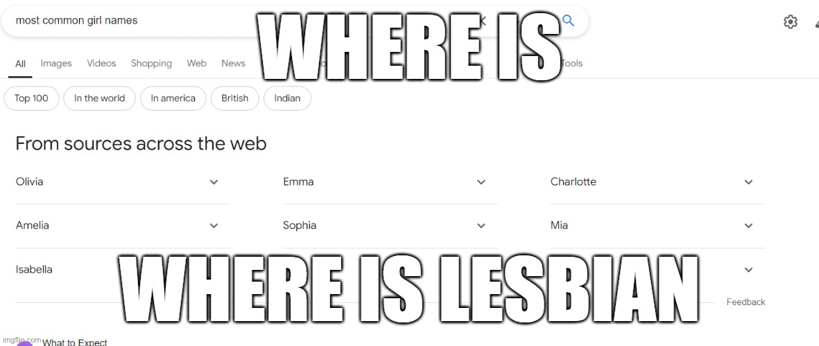 “sorry i’m lesbian” i’m asking if you want to do the sex retar i ai’nt asking for yo name | made w/ Imgflip meme maker