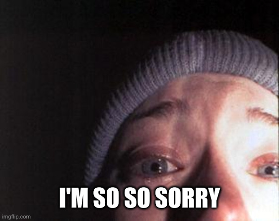 Blair Witch Nose | I'M SO SO SORRY | image tagged in blair witch nose | made w/ Imgflip meme maker