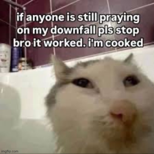 I’m cooked please ;-; | made w/ Imgflip meme maker