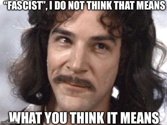 Fascist | “FASCIST”, I DO NOT THINK THAT MEANS; WHAT YOU THINK IT MEANS | image tagged in i do not think that means what you think it means | made w/ Imgflip meme maker