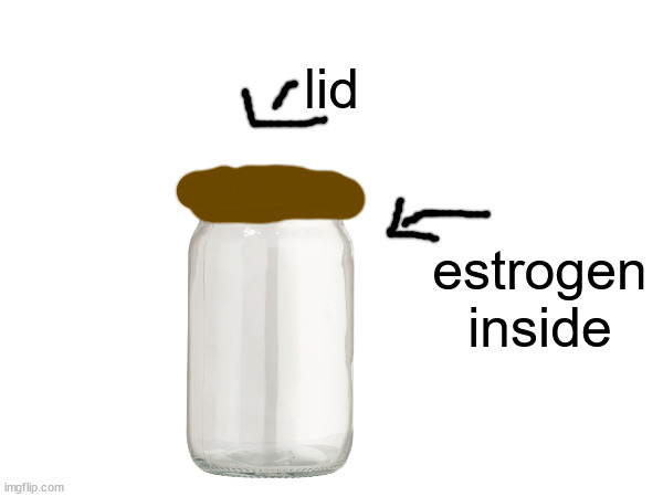 lid estrogen inside | made w/ Imgflip meme maker