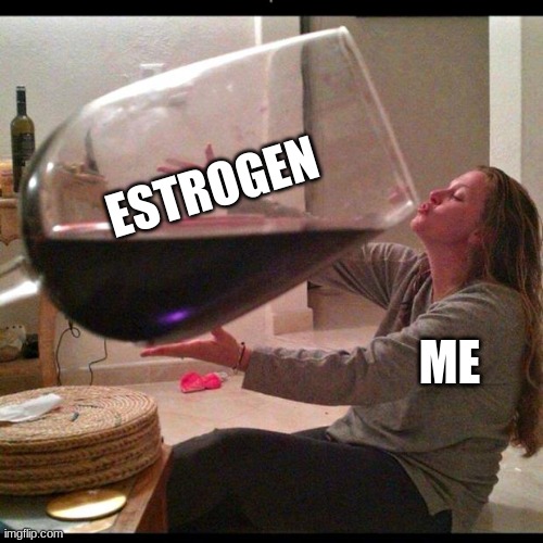 Wine Drinker | ME ESTROGEN | image tagged in wine drinker | made w/ Imgflip meme maker