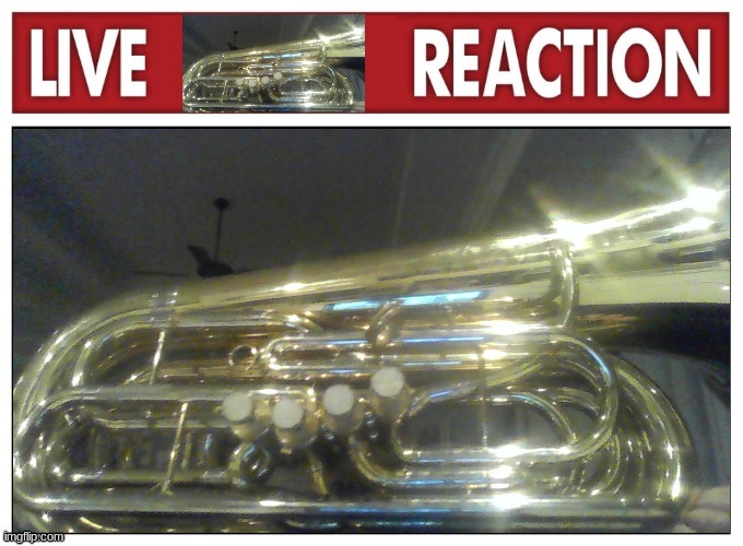 Live Tuba Reaction | image tagged in live tuba reaction | made w/ Imgflip meme maker