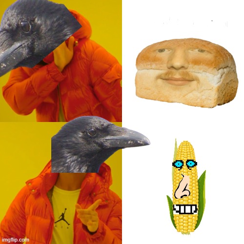 Crows prefer Corn | image tagged in memes,drake hotline bling | made w/ Imgflip meme maker