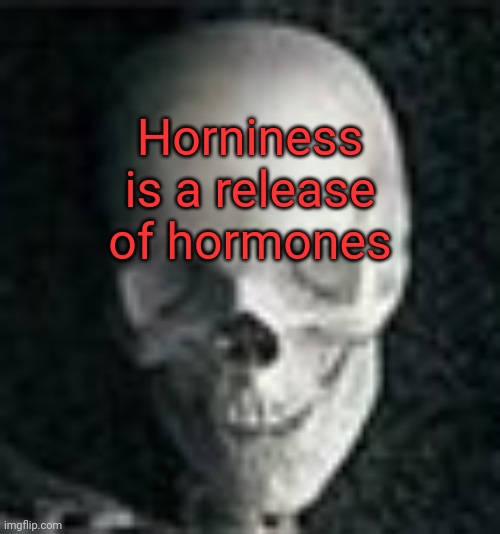 Skull | Horniness is a release of hormones | image tagged in skull | made w/ Imgflip meme maker