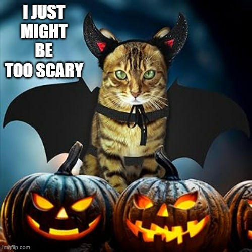 memes by Brad - This cat might be too scary - humor | I JUST MIGHT BE TOO SCARY | image tagged in funny,cats,kitten,halloween,scary,humor | made w/ Imgflip meme maker